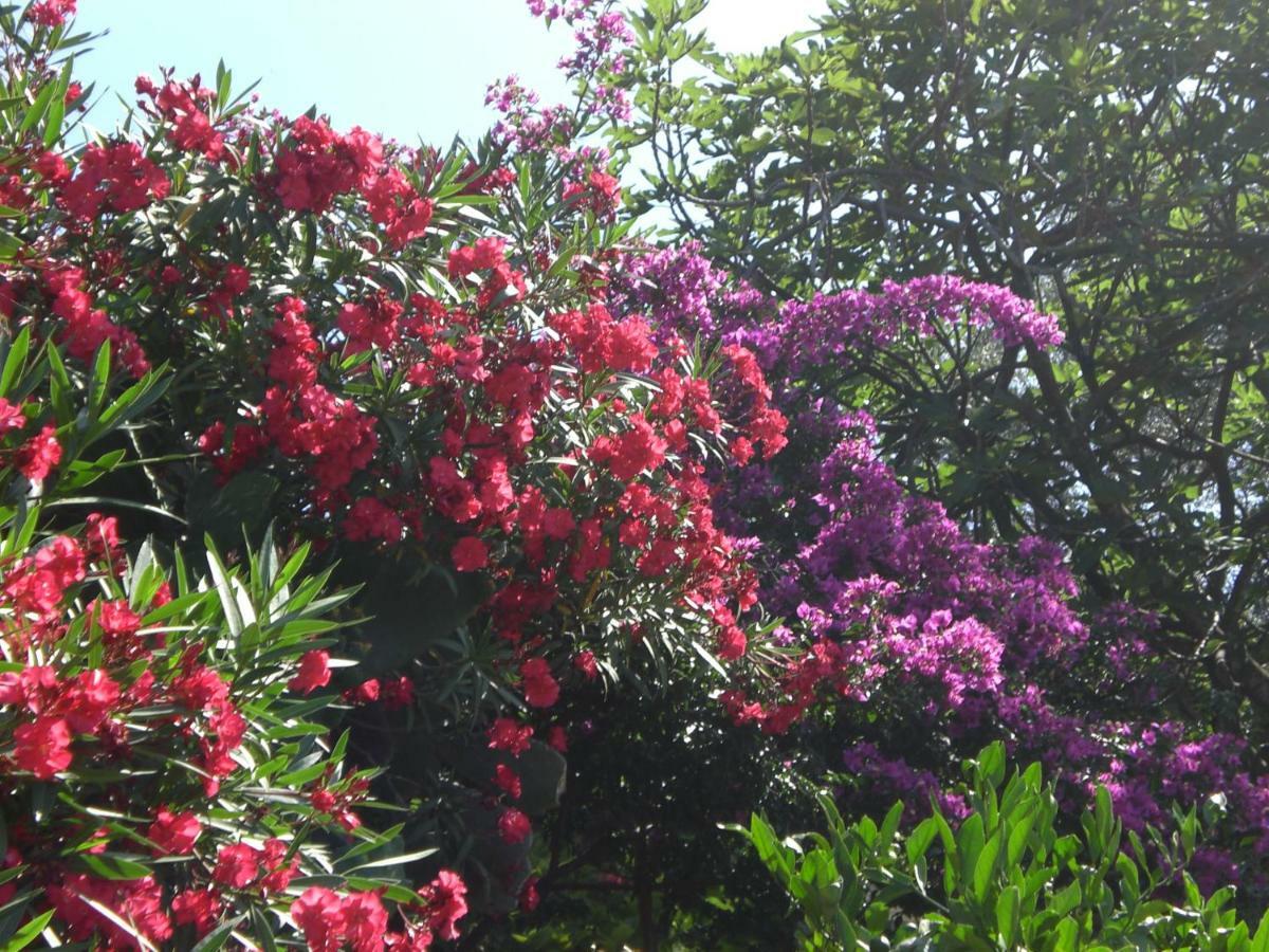 Villa Marin 몰루나트 외부 사진